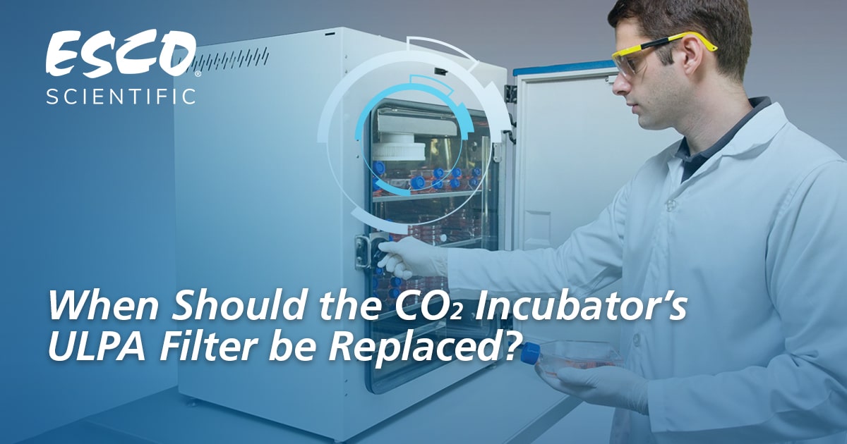 When Should the CO2 Incubator's ULPA Filter be Replaced?